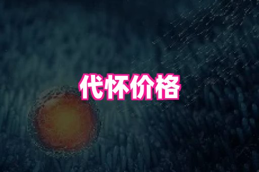 swisee孕网 1