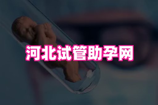 swisee孕网 3