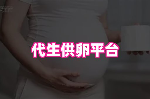 swisee孕网 4